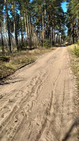 Спорт вдома, Світлана Советченко. Фото